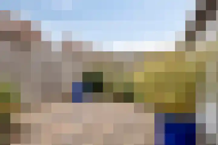 Weidemolen 13 Edam thumbnail 32