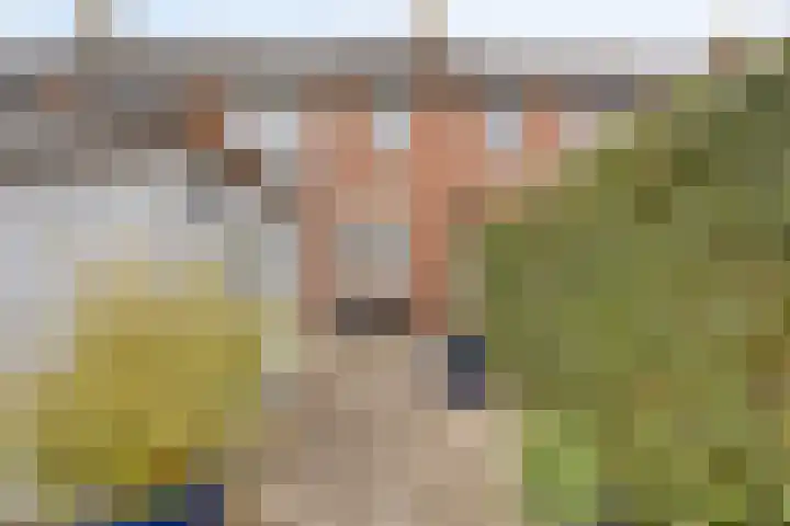 Weidemolen 13 Edam thumbnail 33
