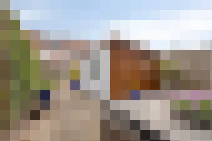 Weidemolen 13 Edam thumbnail 5