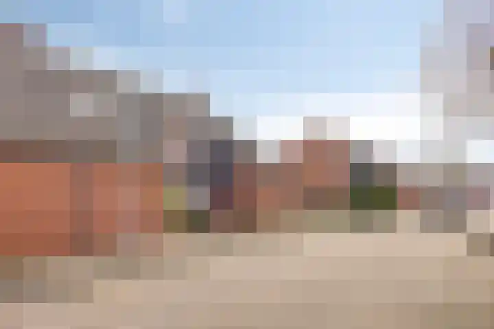 Weidemolen 13 Edam thumbnail 7