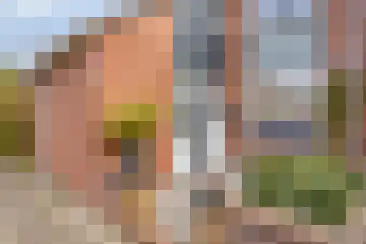 Weidemolen 13 Edam thumbnail 8