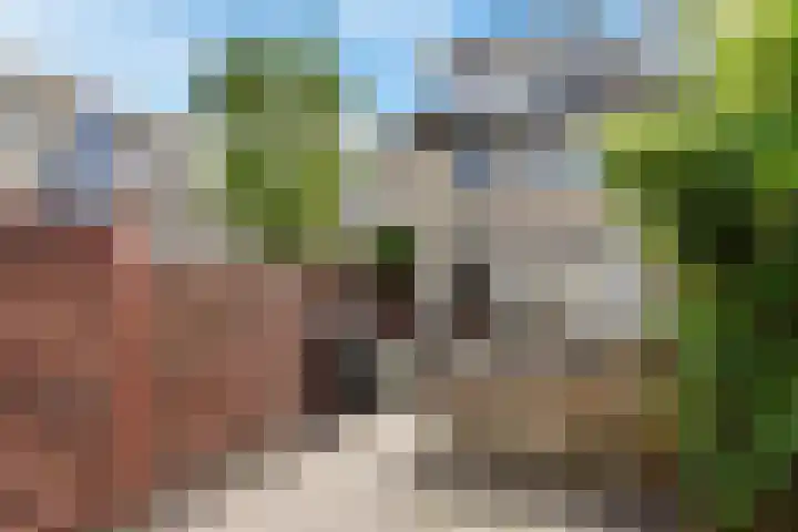 Weidemolen 17 Bergschenhoek thumbnail 18