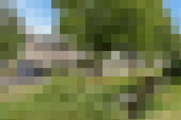 Weidemolen 17 Bergschenhoek thumbnail 4