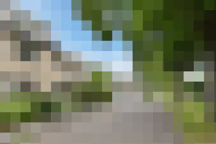 Weidemolen 17 Bergschenhoek thumbnail 5
