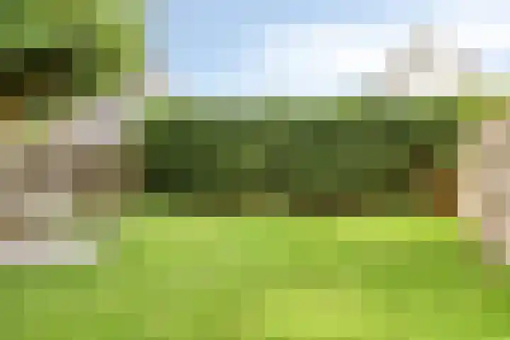 Weidemolen 21 Nieuwe Niedorp thumbnail 34