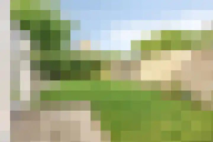 Weidemolen 21 Nieuwe Niedorp thumbnail 4