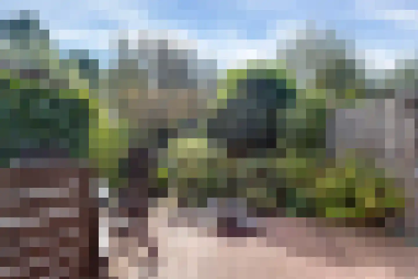 Weidemolen 21 Papendrecht thumbnail 23