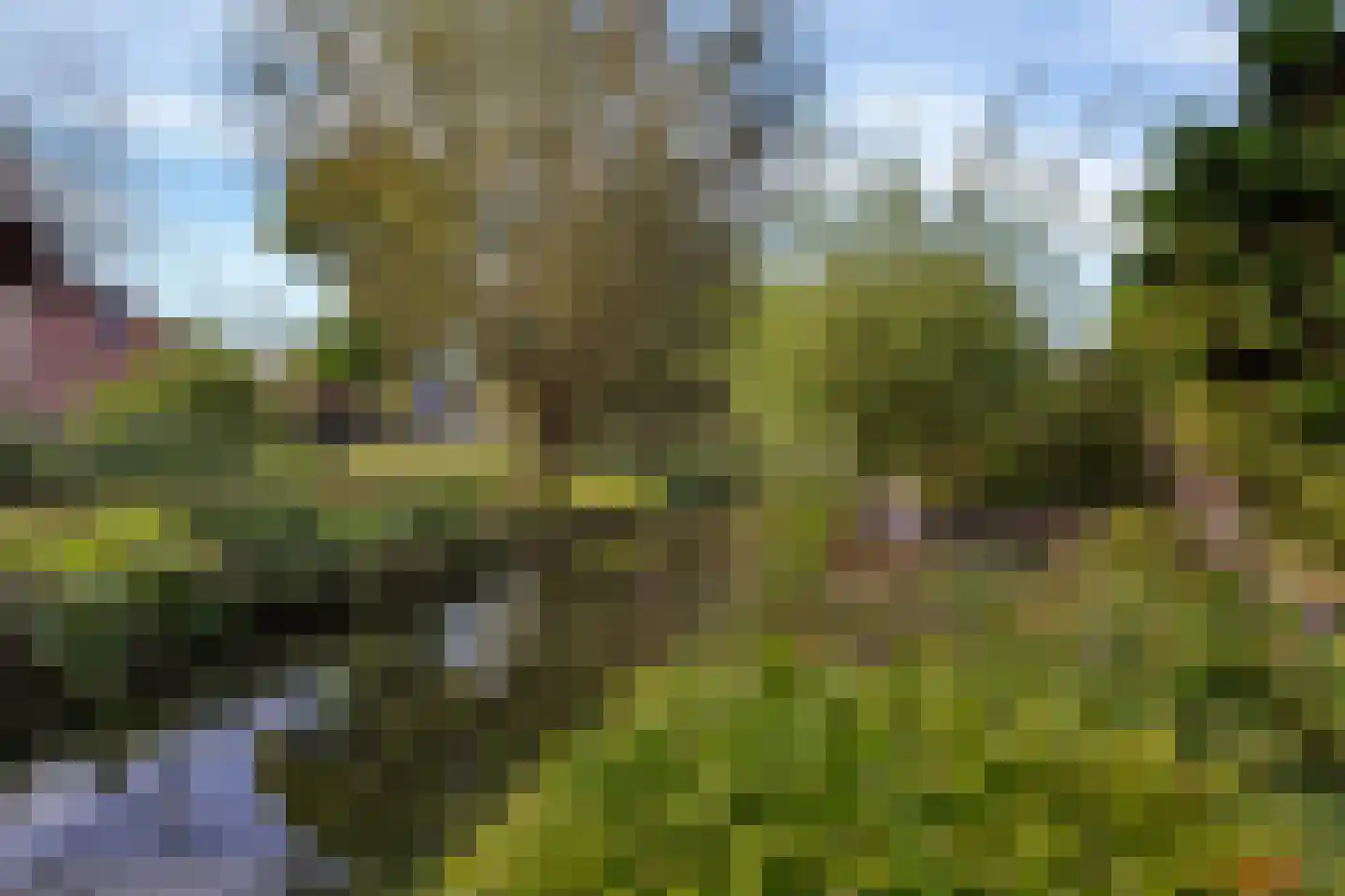 Weidemolen 21 Papendrecht thumbnail 27