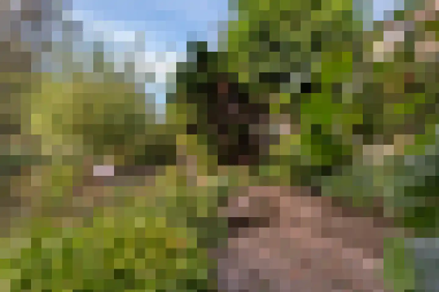 Weidemolen 21 Papendrecht thumbnail 28