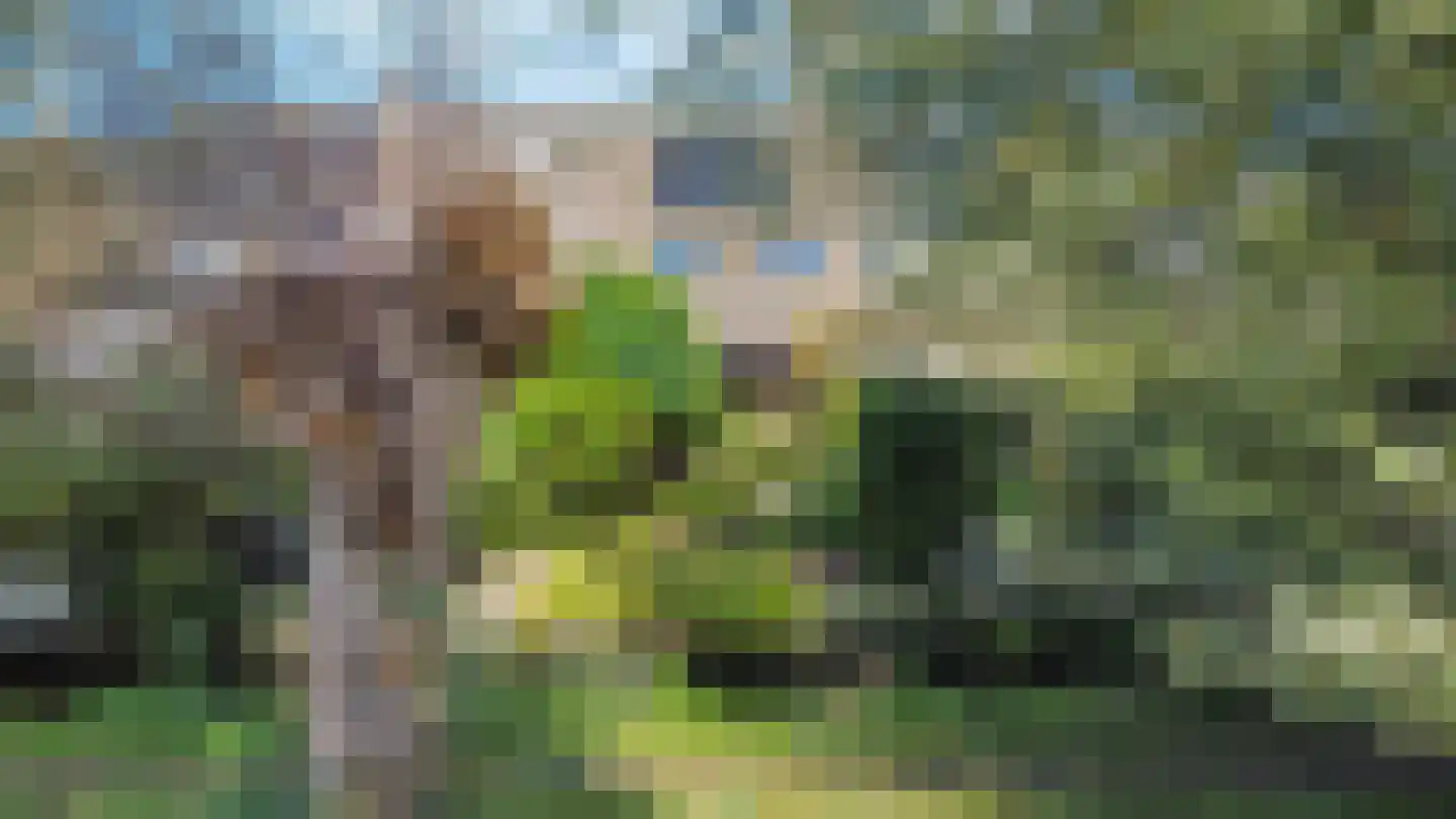Weidemolen 21 Papendrecht thumbnail 30