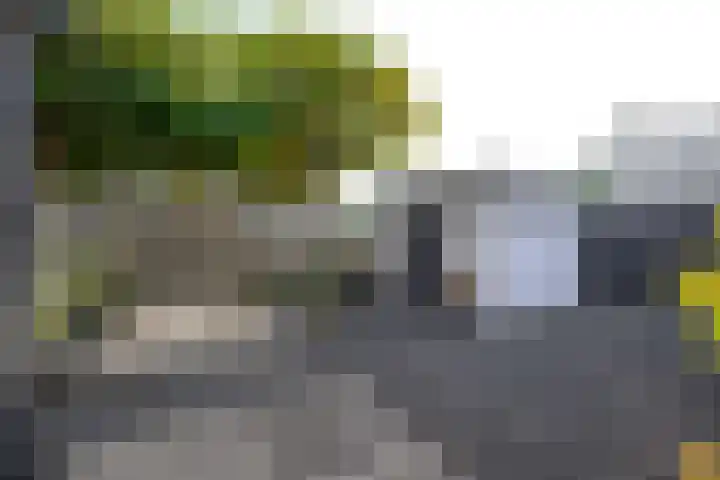 Weidemolen 23 Nieuwe Niedorp thumbnail 19