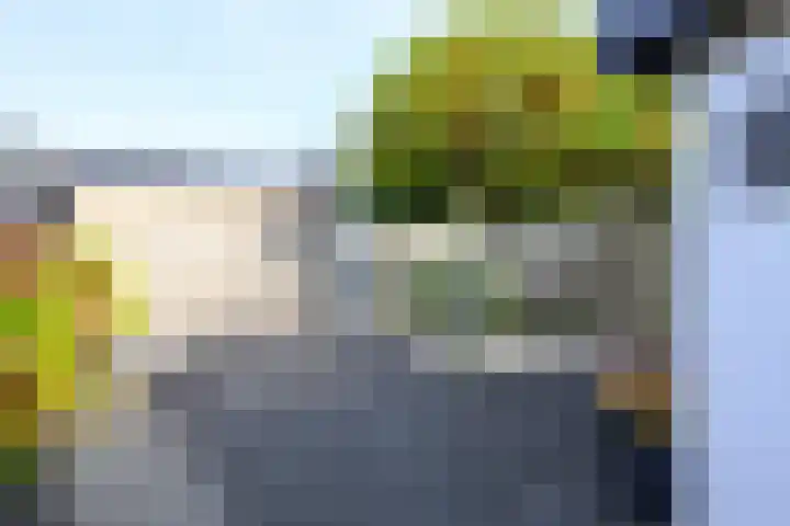 Weidemolen 23 Nieuwe Niedorp thumbnail 20