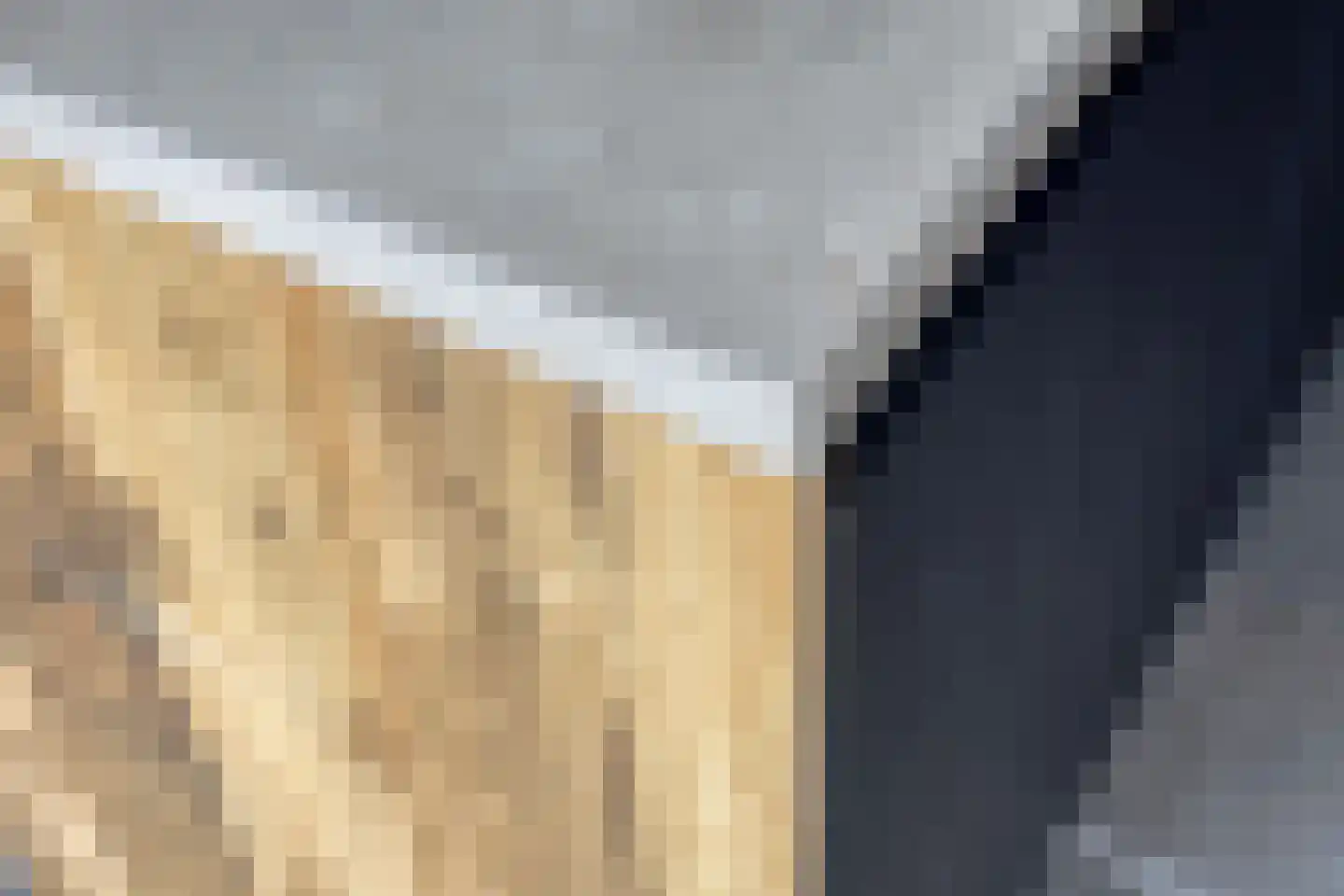 Weidemolen 24 de Lutte thumbnail 13
