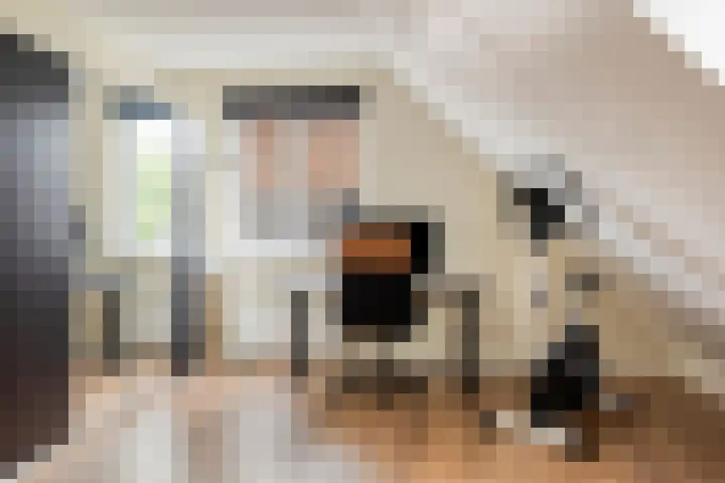Weidemolen 24 de Lutte thumbnail 23