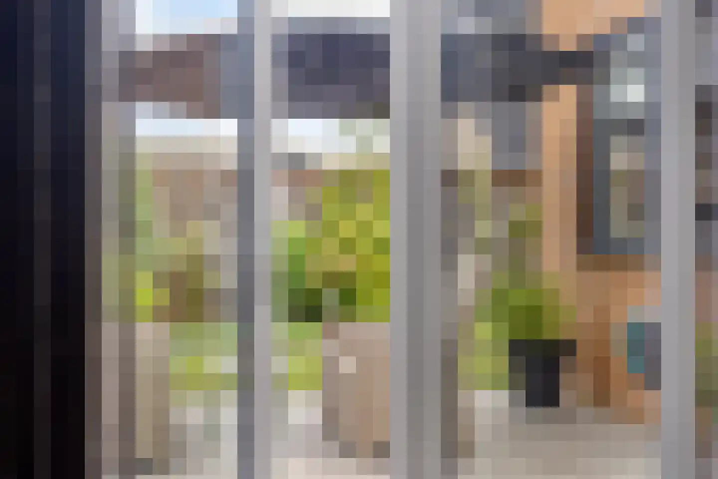 Weidemolen 24 de Lutte thumbnail 28