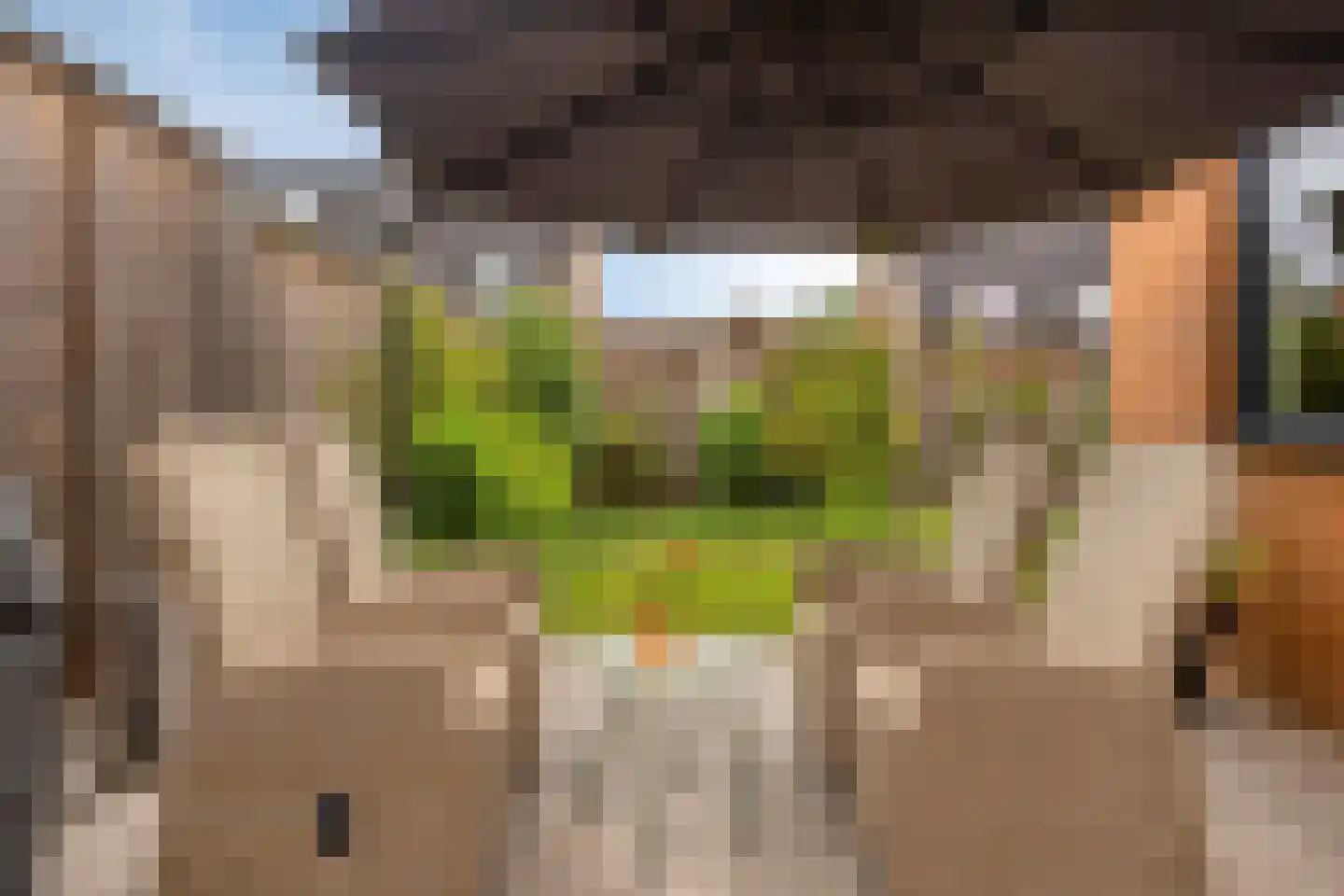 Weidemolen 24 de Lutte thumbnail 29