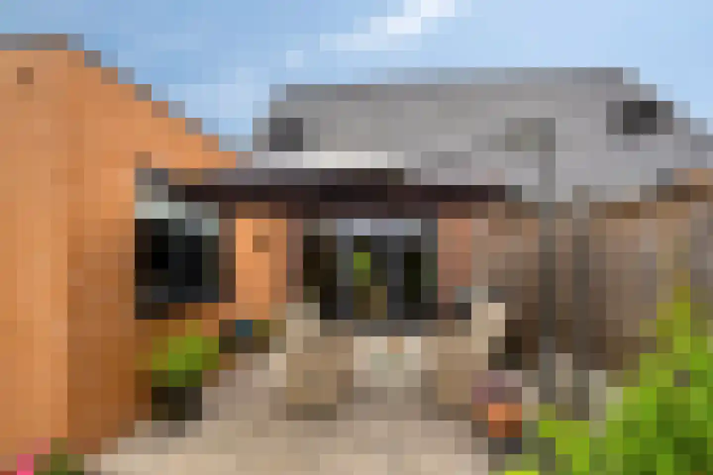 Weidemolen 24 de Lutte thumbnail 32