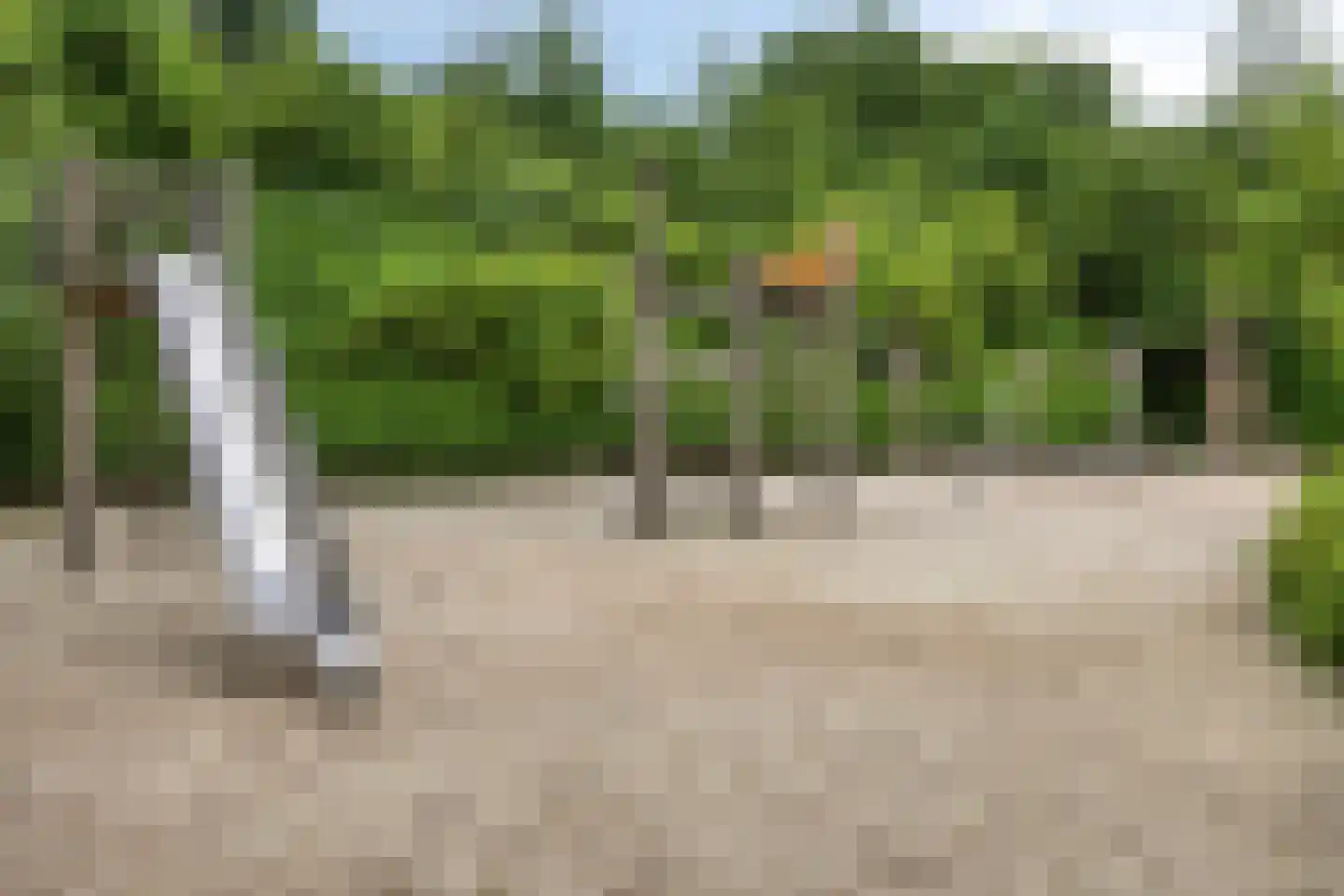Weidemolen 24 de Lutte thumbnail 35