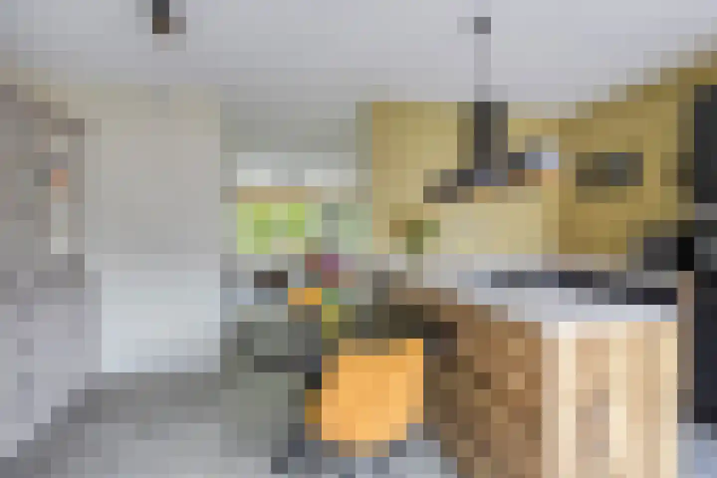 Weidemolen 24 de Lutte thumbnail 7