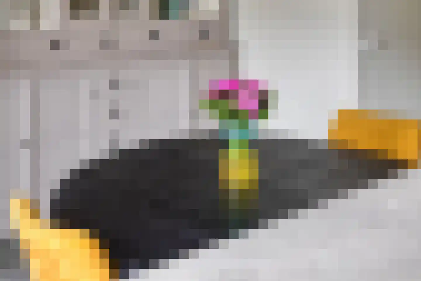 Weidemolen 24 de Lutte thumbnail 8