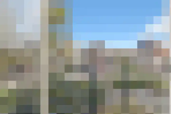 Weidemolen 25 Nieuwe Niedorp thumbnail 15