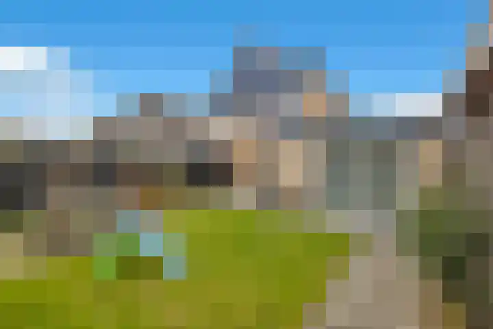 Weidemolen 25 Nieuwe Niedorp thumbnail 31