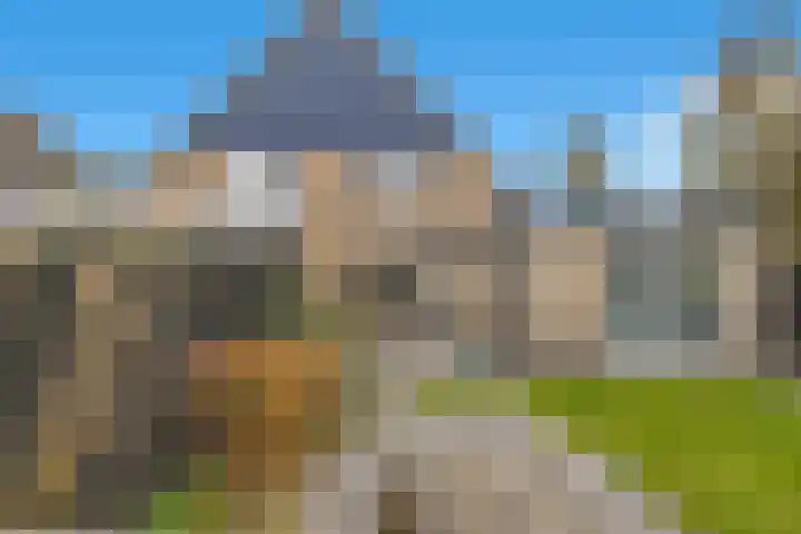 Weidemolen 25 Nieuwe Niedorp thumbnail 32