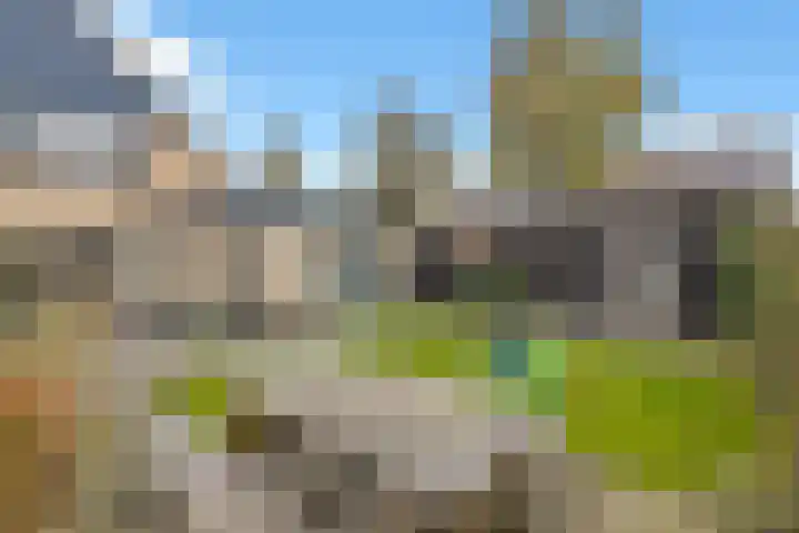 Weidemolen 25 Nieuwe Niedorp thumbnail 33