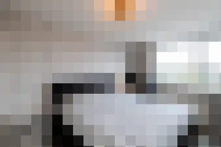 Weidemolen 28 Papendrecht thumbnail 14