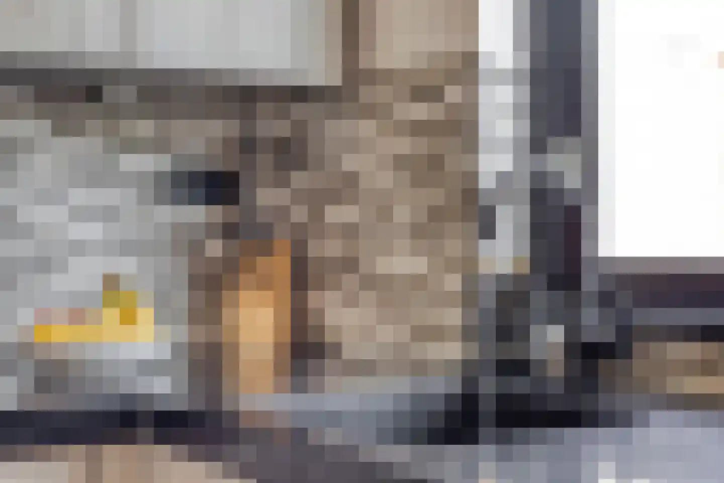 Weidemolen 3 Edam thumbnail 10