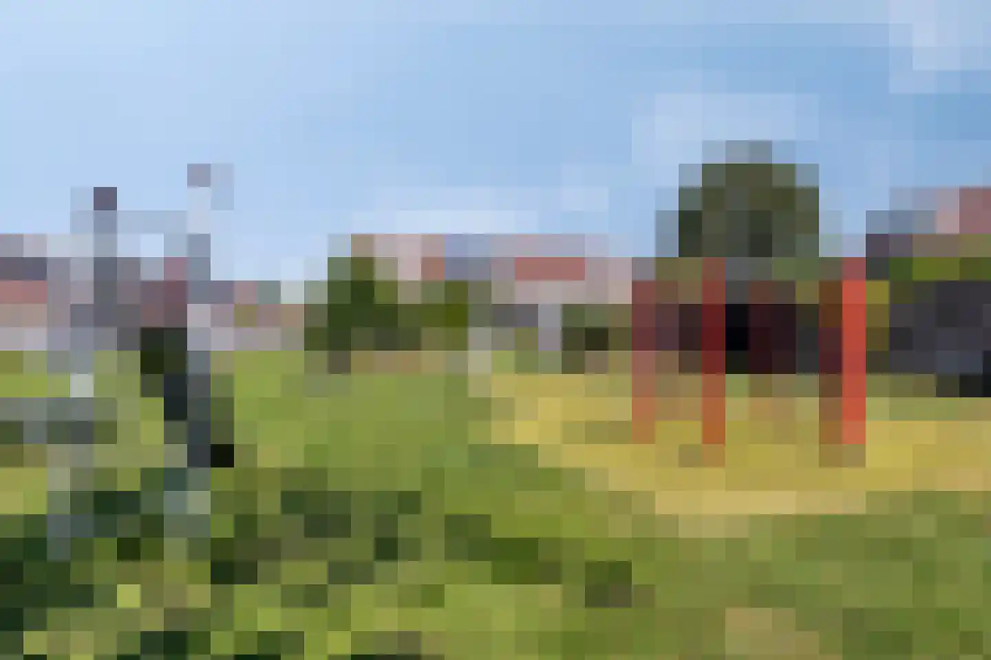 Weidemolen 3 Edam thumbnail 29
