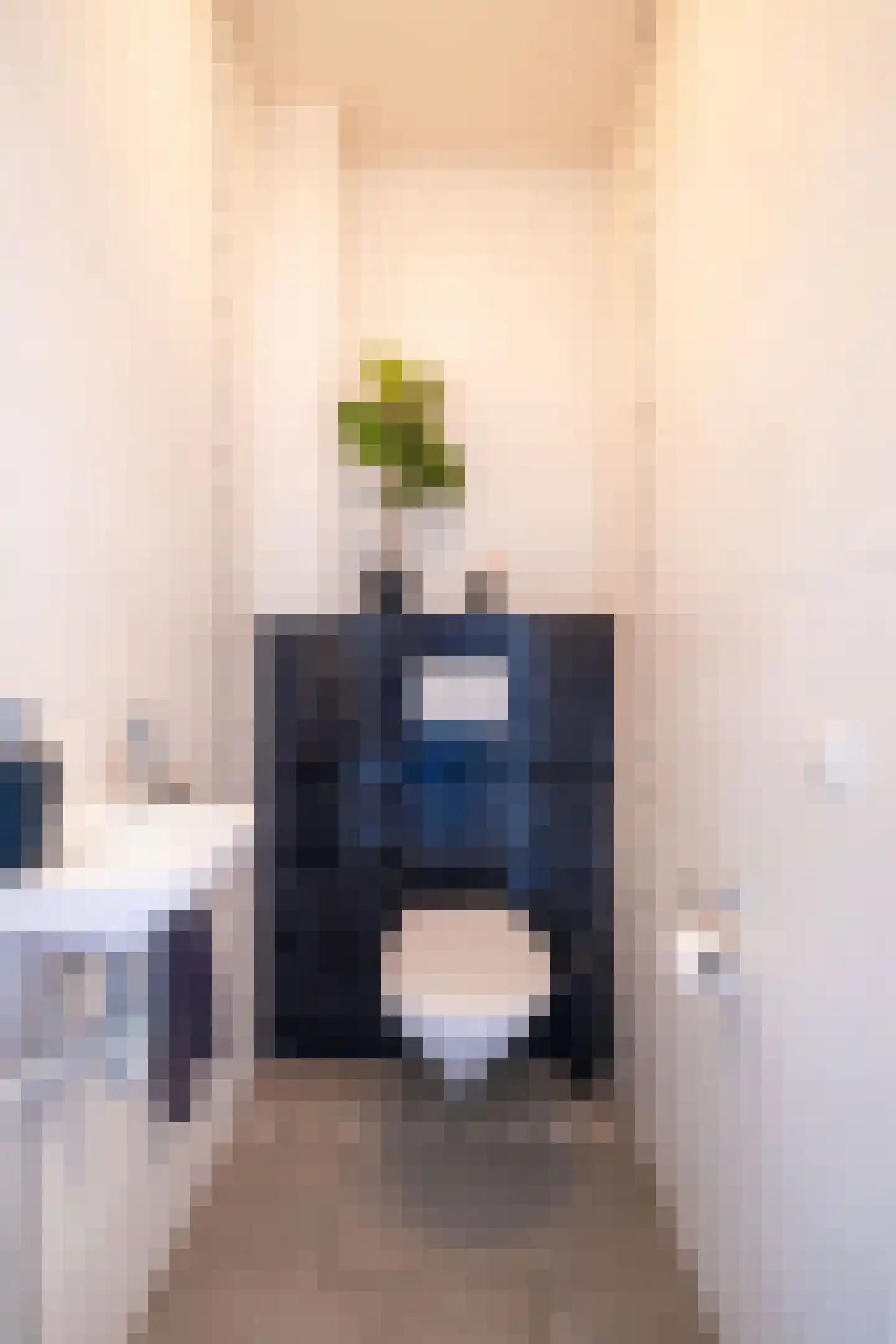 Weidemolen 47 Hoorn thumbnail 20