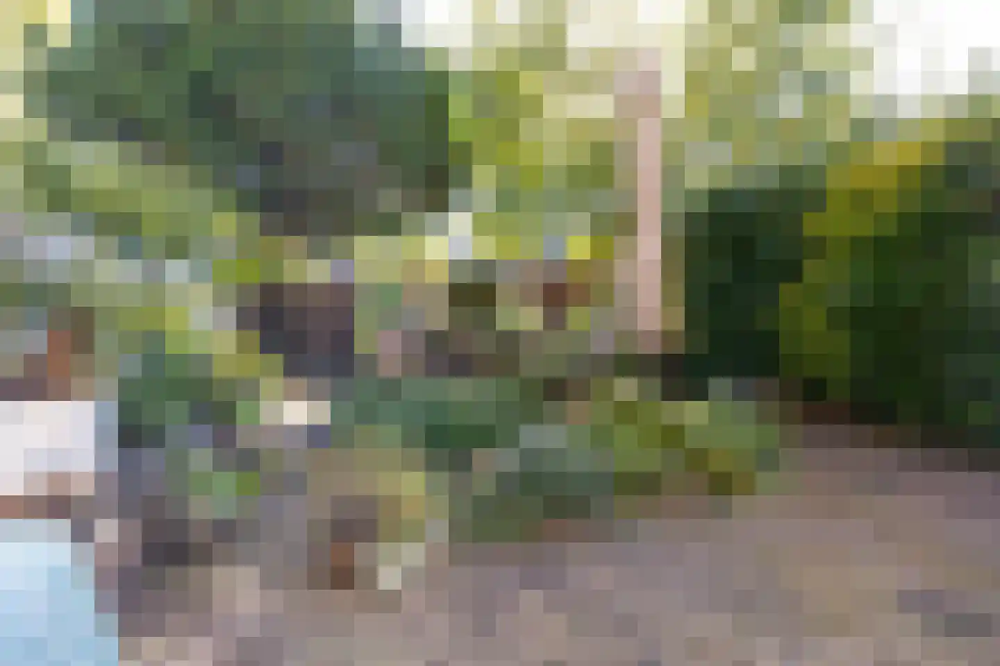 Weidemolen 47 Hoorn thumbnail 5