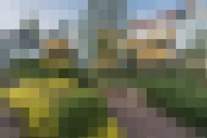 Weidemolen 66 Heerhugowaard thumbnail 40