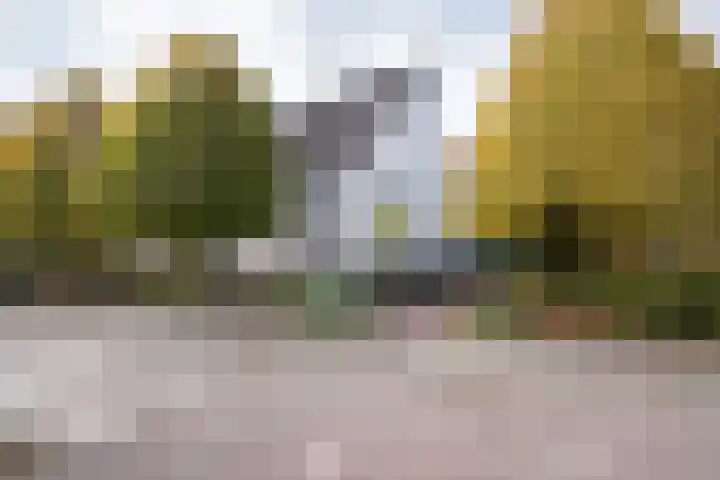 Weidemolen 68 Heerhugowaard thumbnail 30