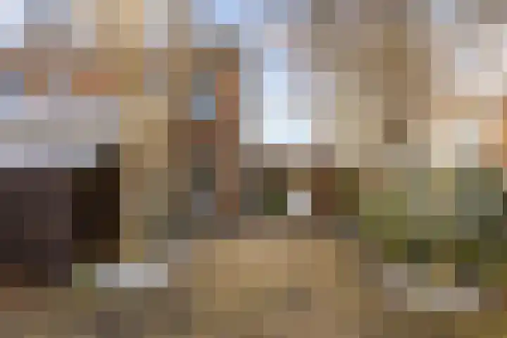 Weidemolen 72 Hoorn thumbnail 7