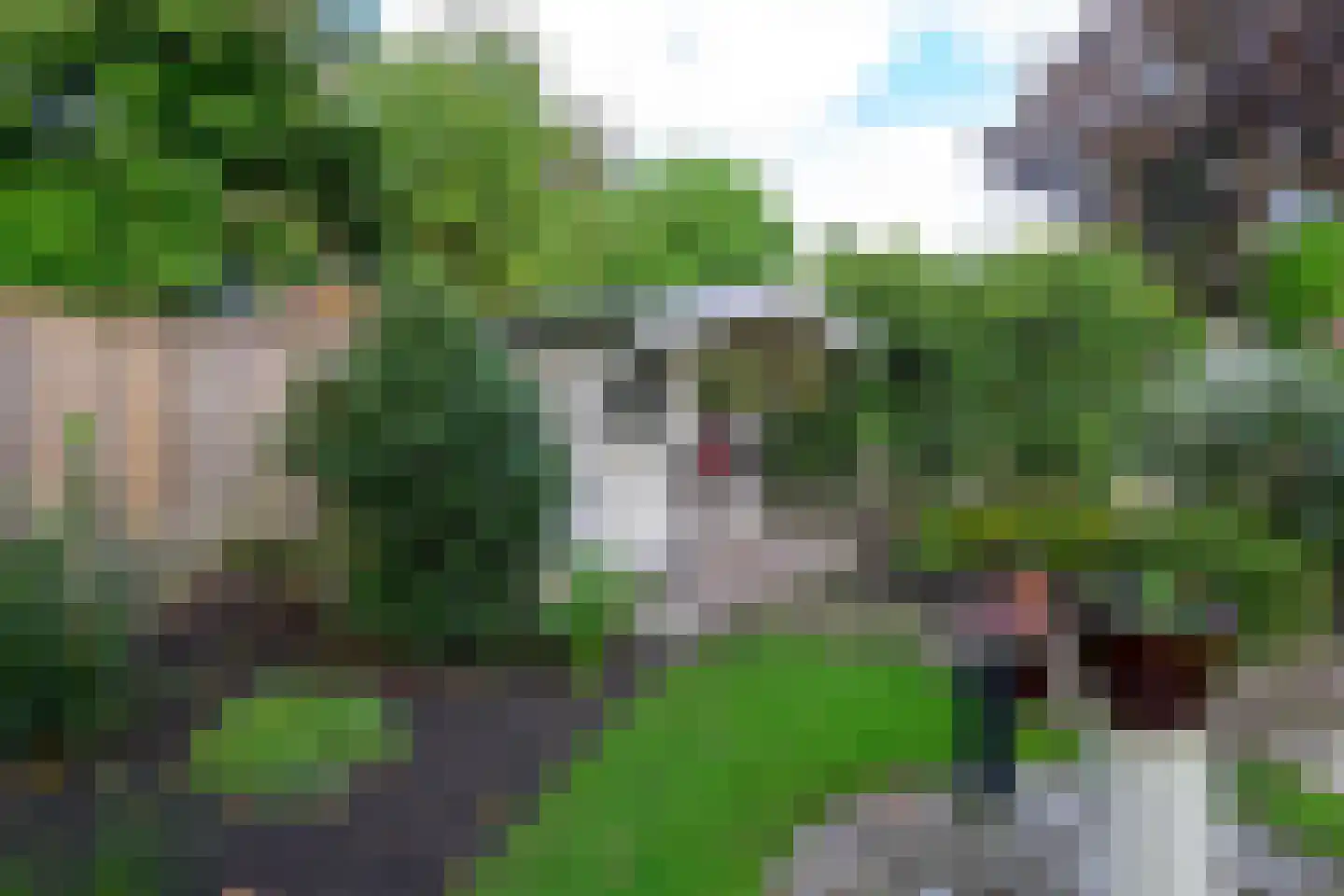 Weidemolen 8 Heerhugowaard thumbnail 19