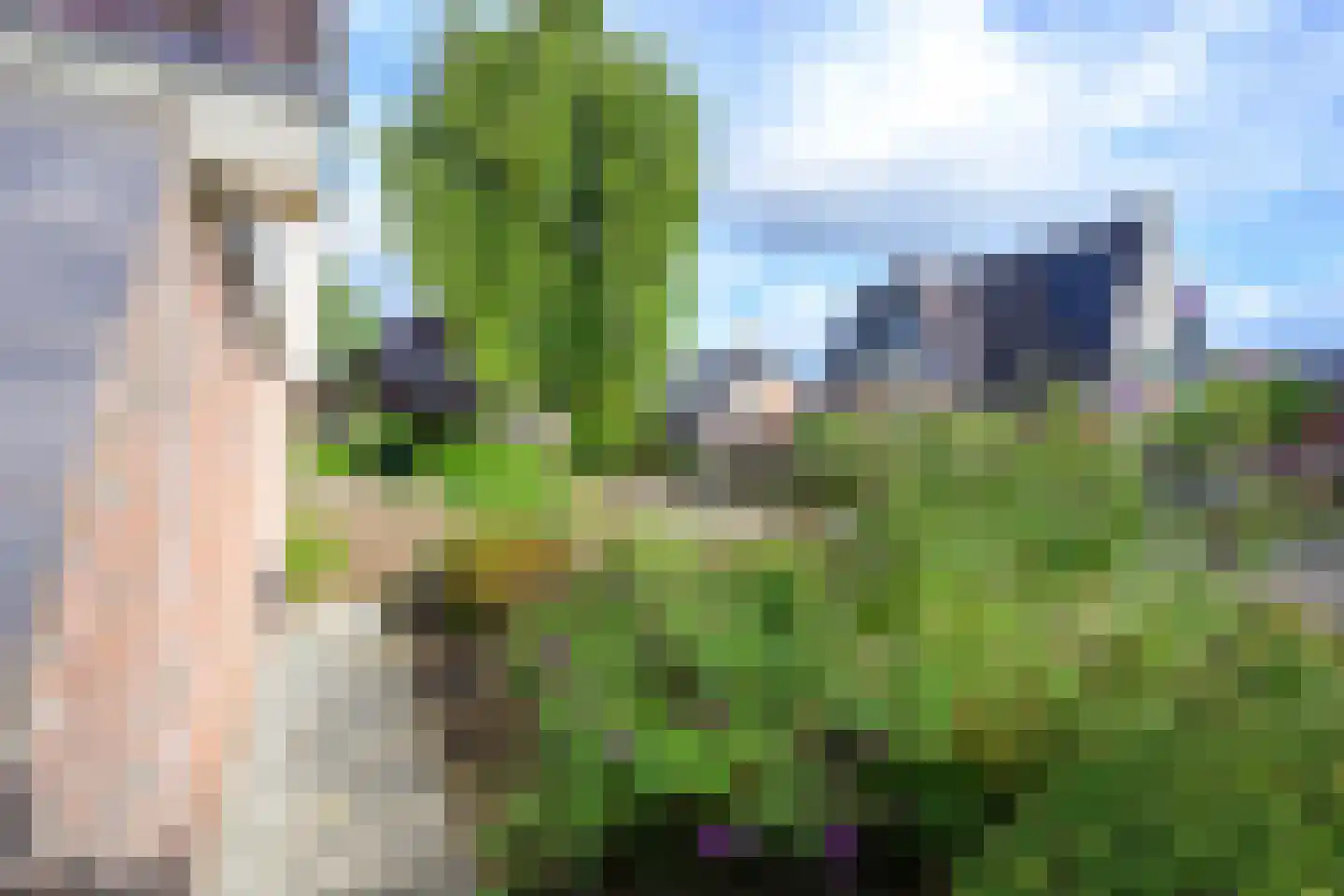 Weidemolen 8 Heerhugowaard thumbnail 47
