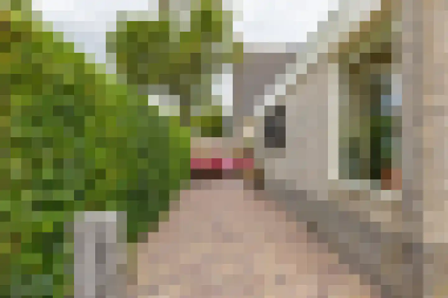 Weidemolen 9 Nieuwe Niedorp thumbnail 25