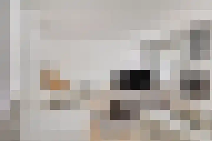 Weidemolenlaan 11 Lochem thumbnail 11