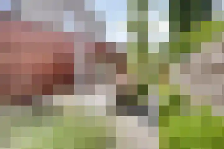 Weidemolenlaan 11 Lochem thumbnail 32