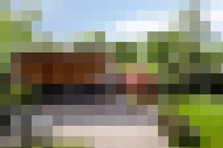 Weidemolenlaan 11 Lochem thumbnail 33
