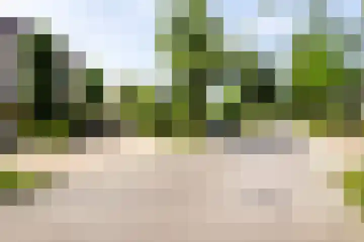 Weidemolenlaan 11 Lochem thumbnail 37
