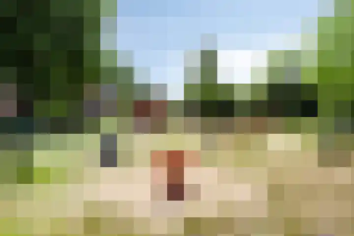 Weidemolenlaan 11 Lochem thumbnail 38
