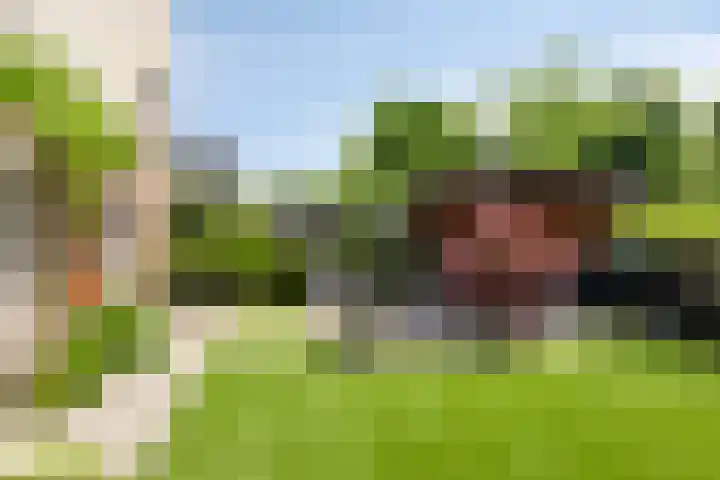 Weidemolenlaan 11 Lochem thumbnail 6