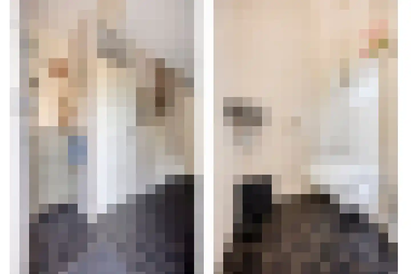Weidepad 8 Streefkerk thumbnail 10