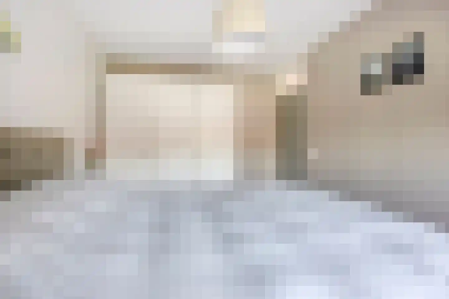 Weidepad 8 Streefkerk thumbnail 13
