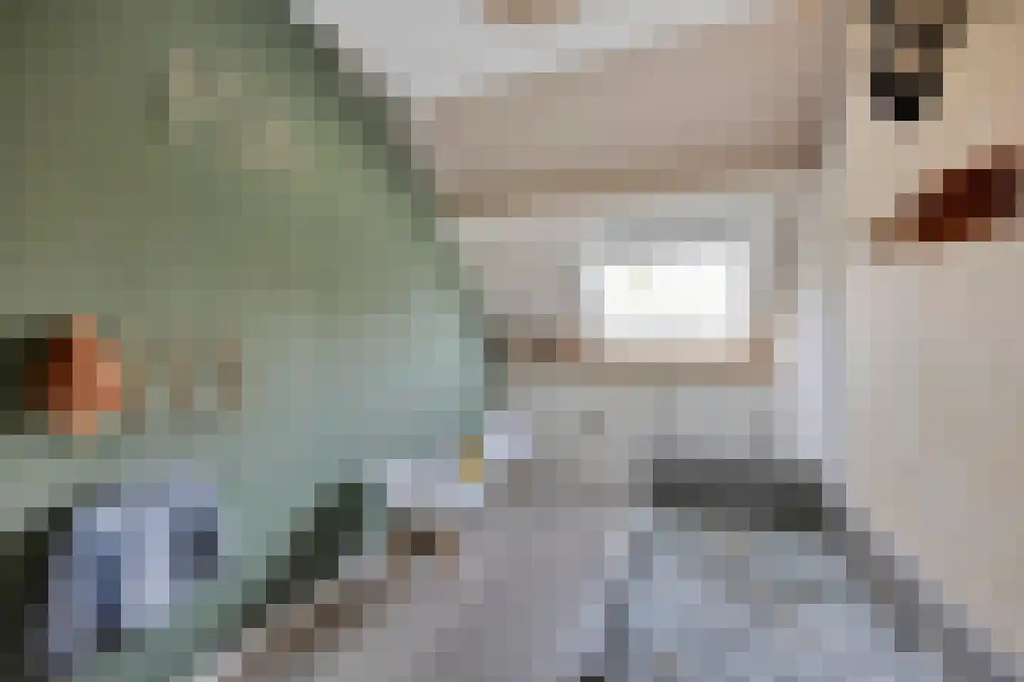 Weidepad 8 Streefkerk thumbnail 14