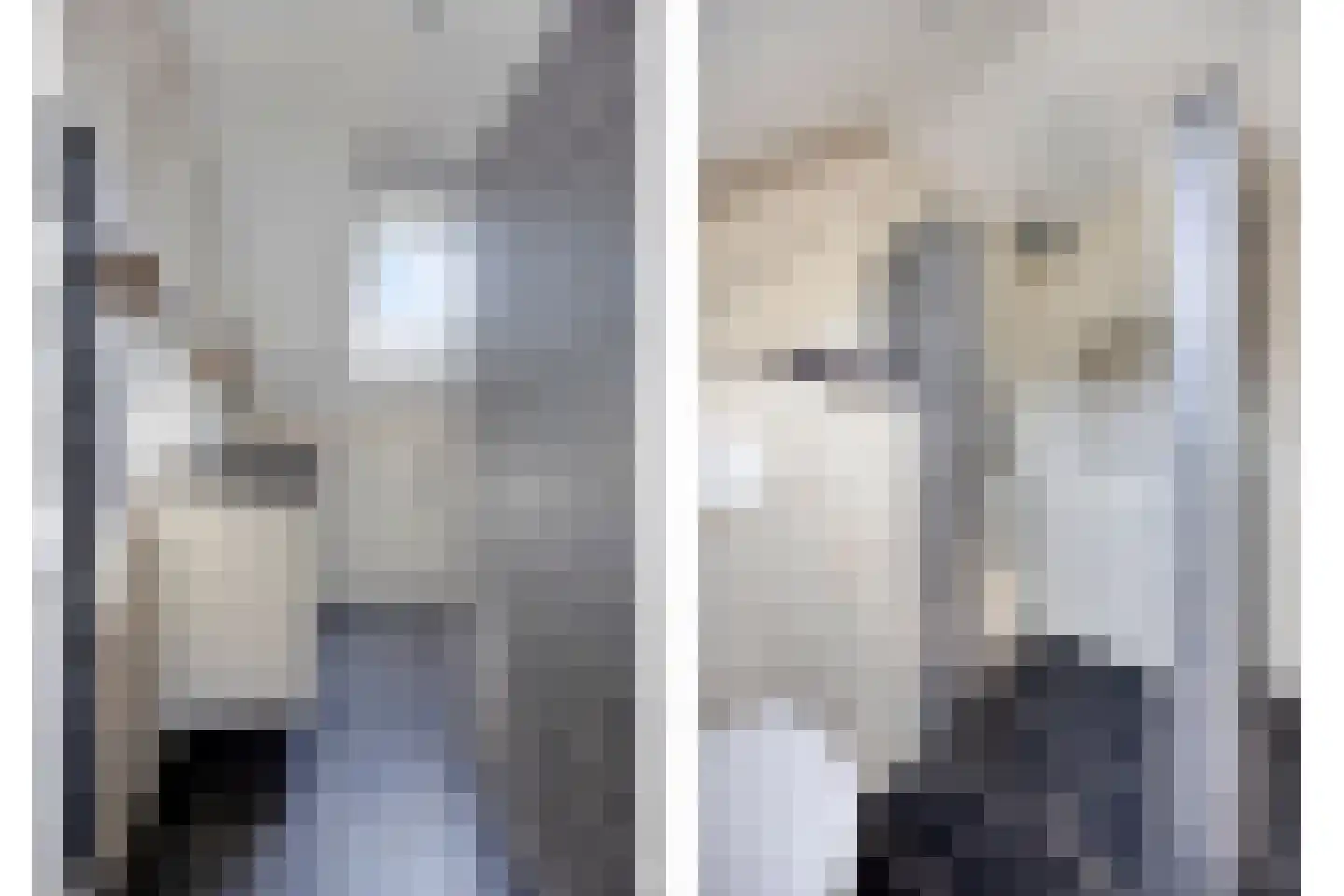 Weidepad 8 Streefkerk thumbnail 17