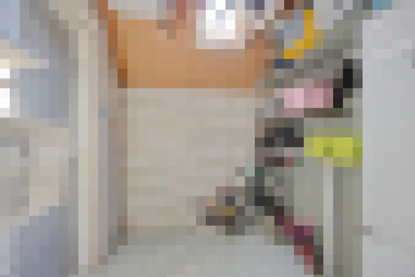 Weidepad 8 Streefkerk thumbnail 22